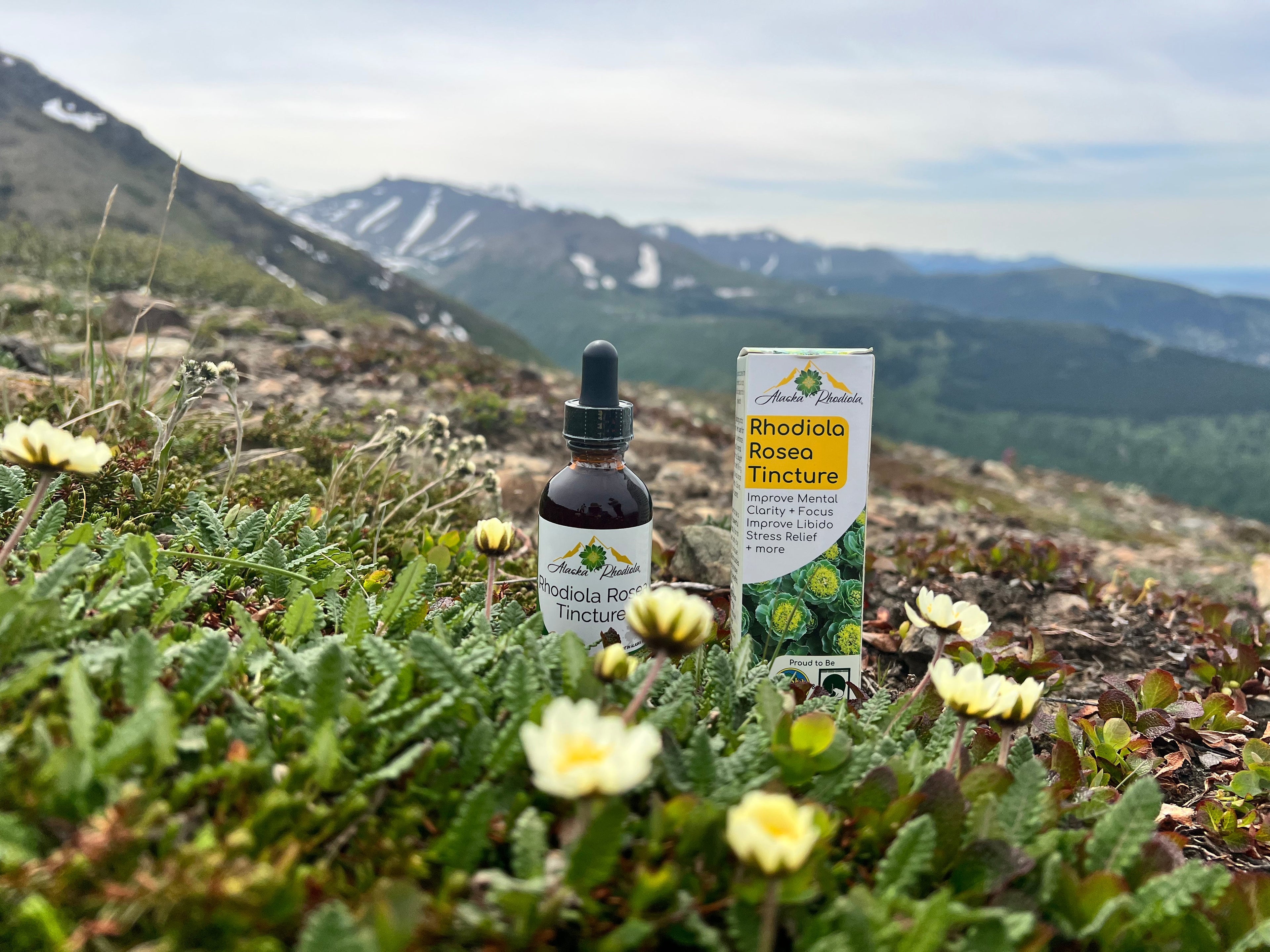 Alaska Rhodiola® Tincture – 2 oz Bottle