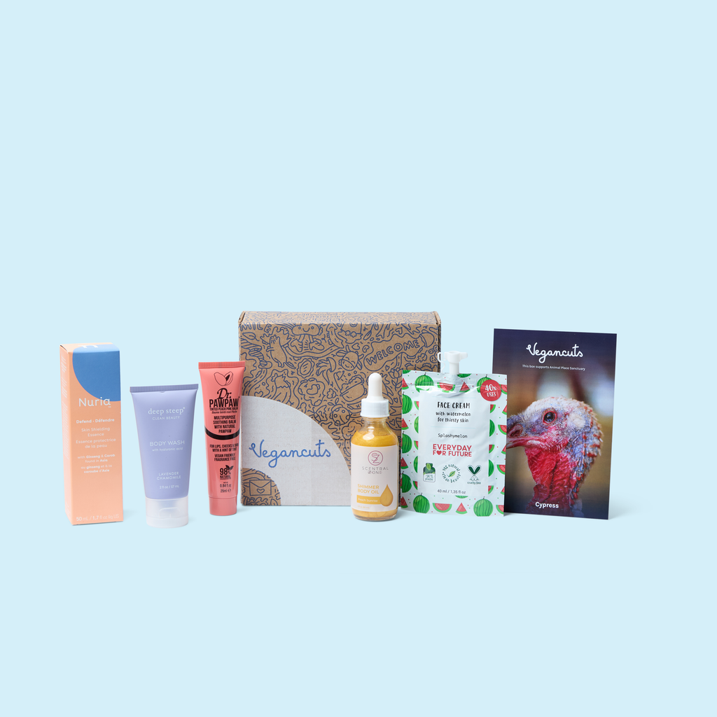 Beauty Box - Soft Focus