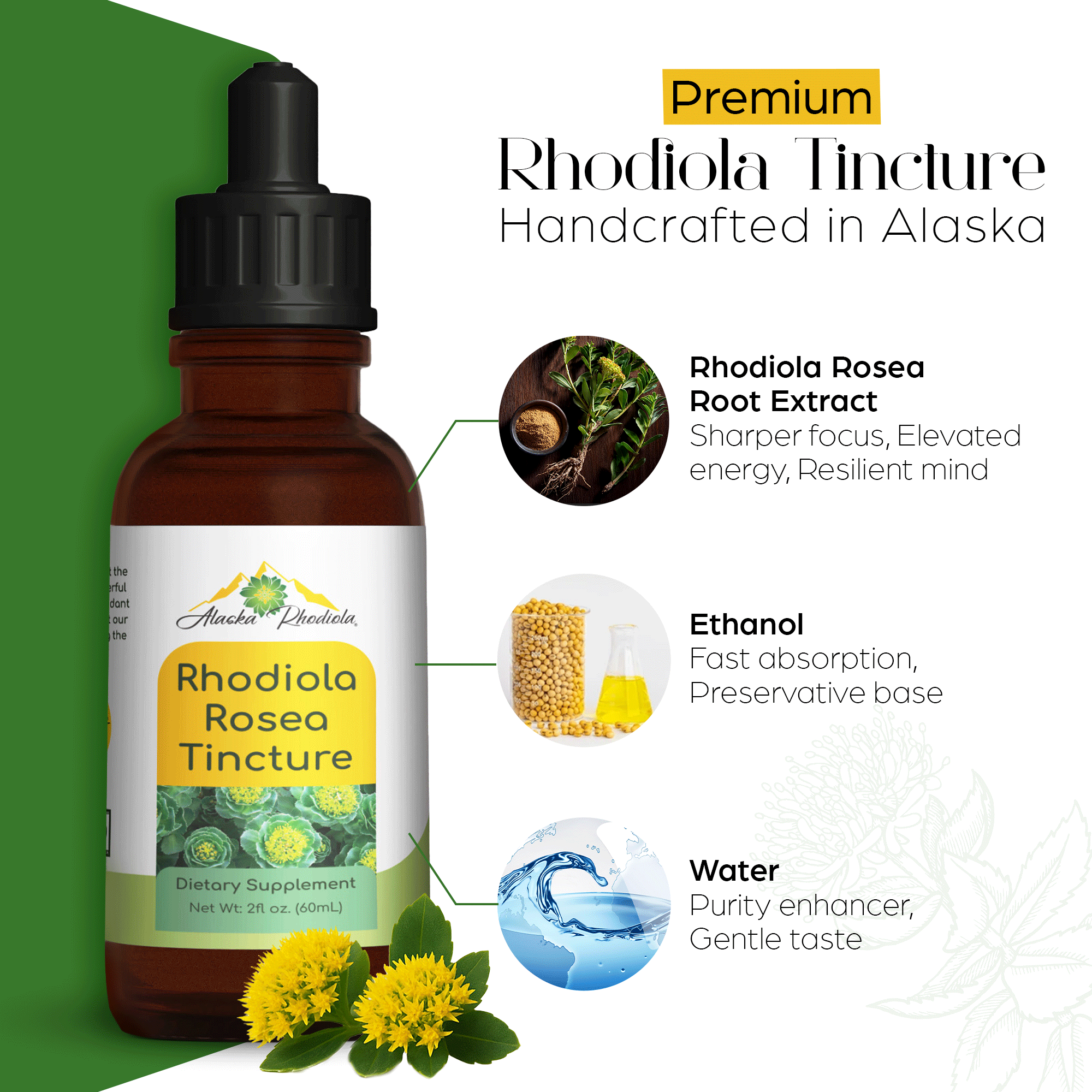 Alaska Rhodiola® Tincture – 2 oz Bottle