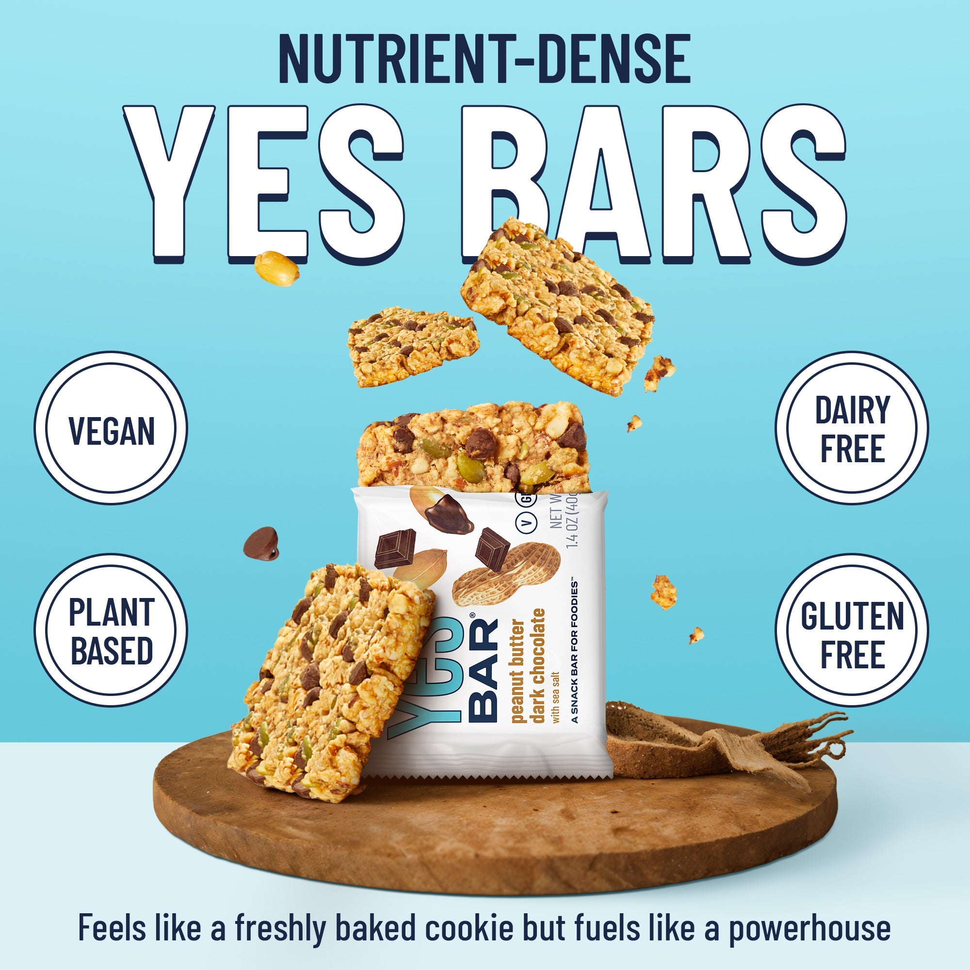 Peanut Butter Dark Chocolate Six Pack